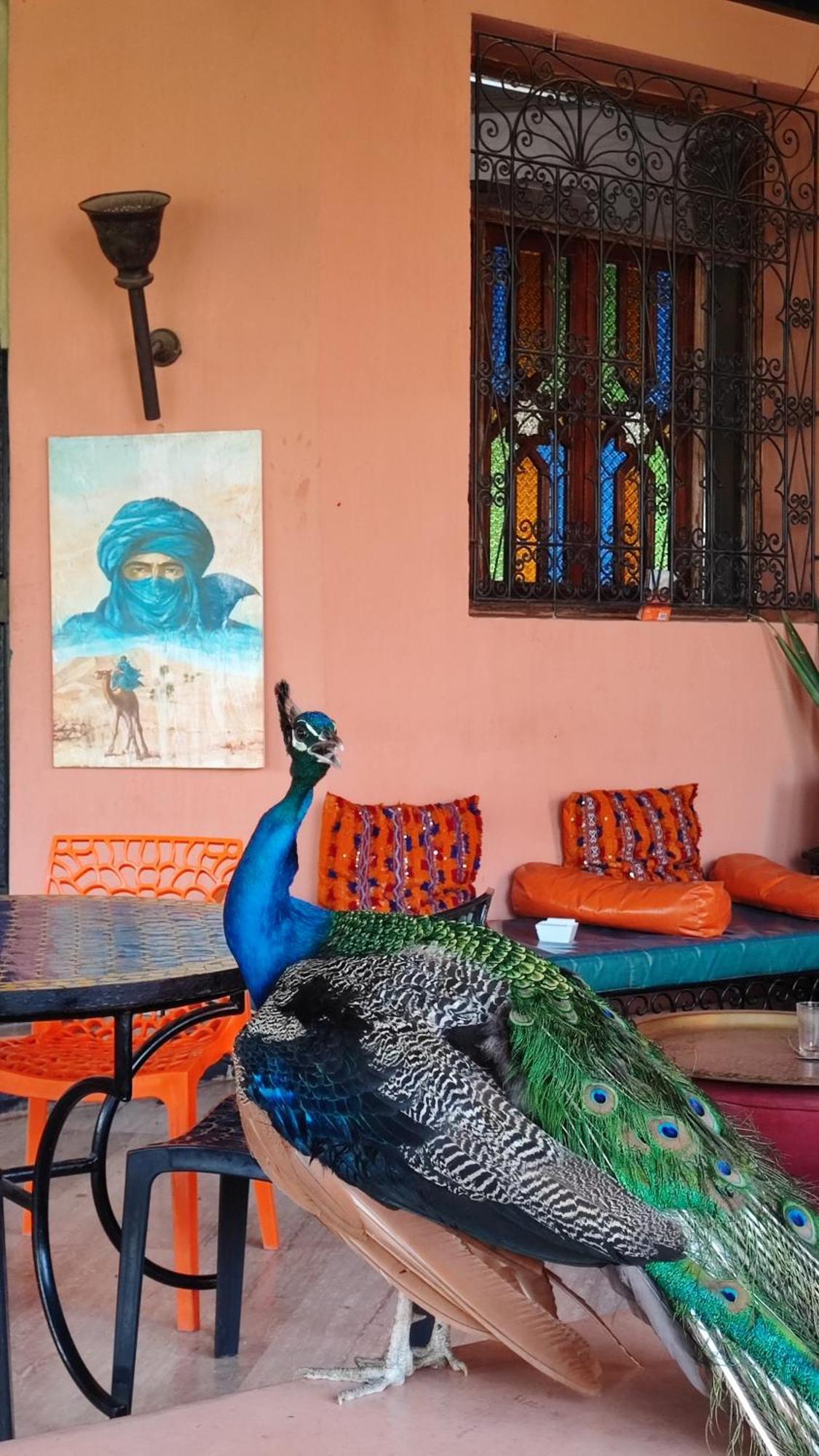 Las Palmeras Guest House Douar Caïd Layadi Esterno foto